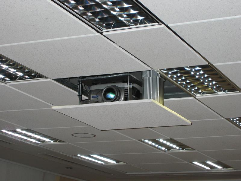 patton19